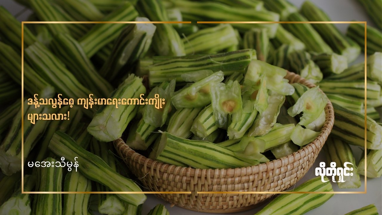 ဒန့်သလွန်စေ့ ကျန်းမာရေးကောင်းကျိုးများသလား!